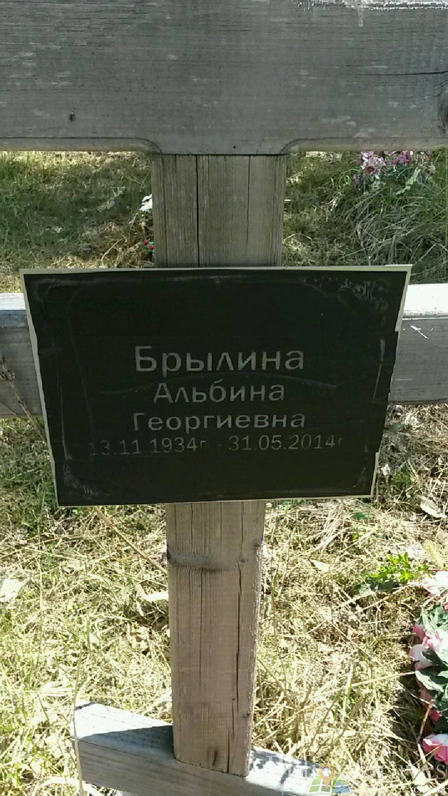 брылин виктор александрович