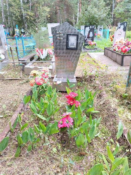 Красильникова Екатерина Николаевна
