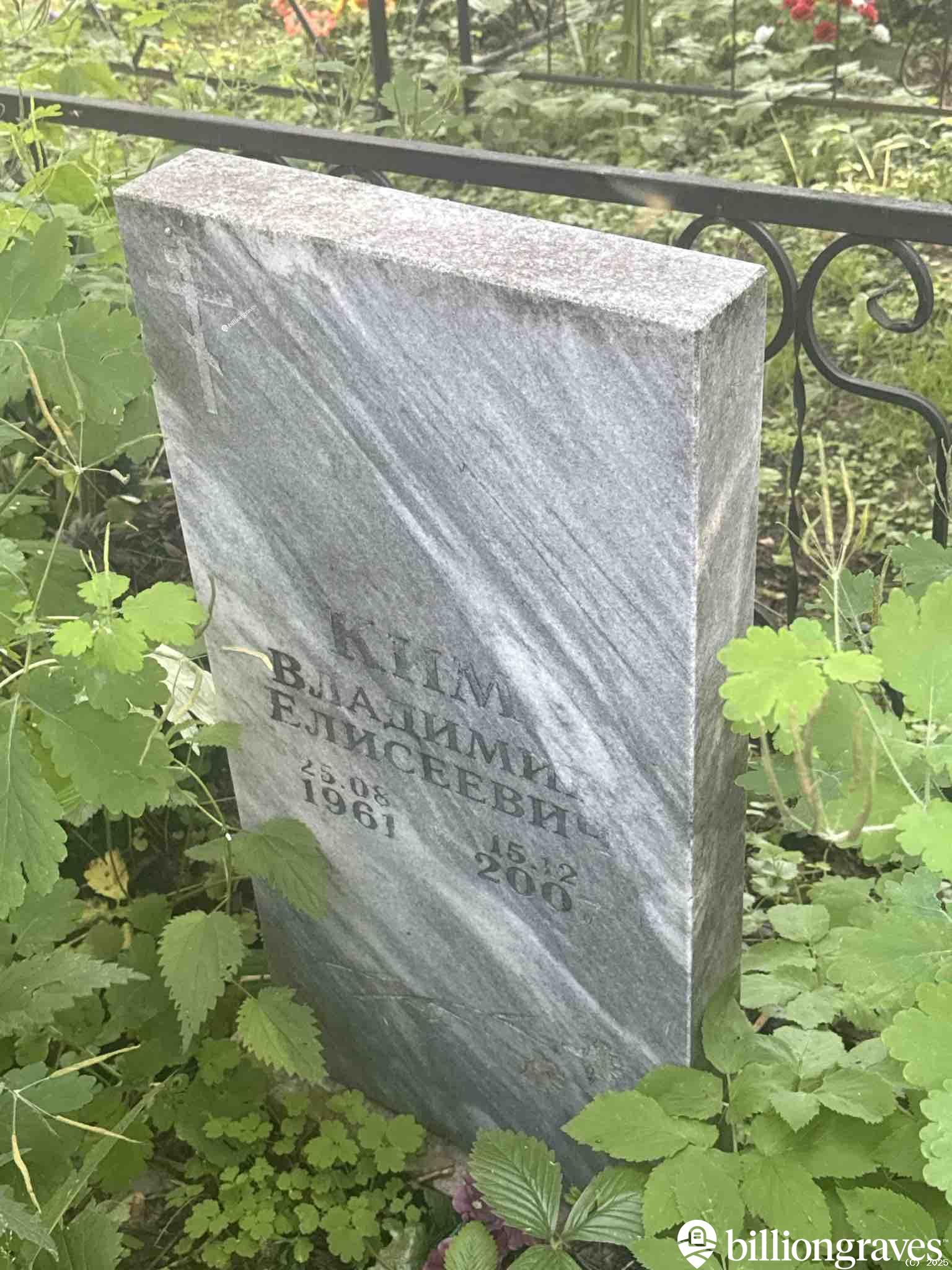 Ким Владимир Елисеевич