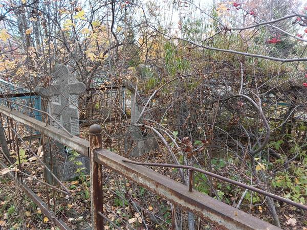 Петровский Александр Владимирович