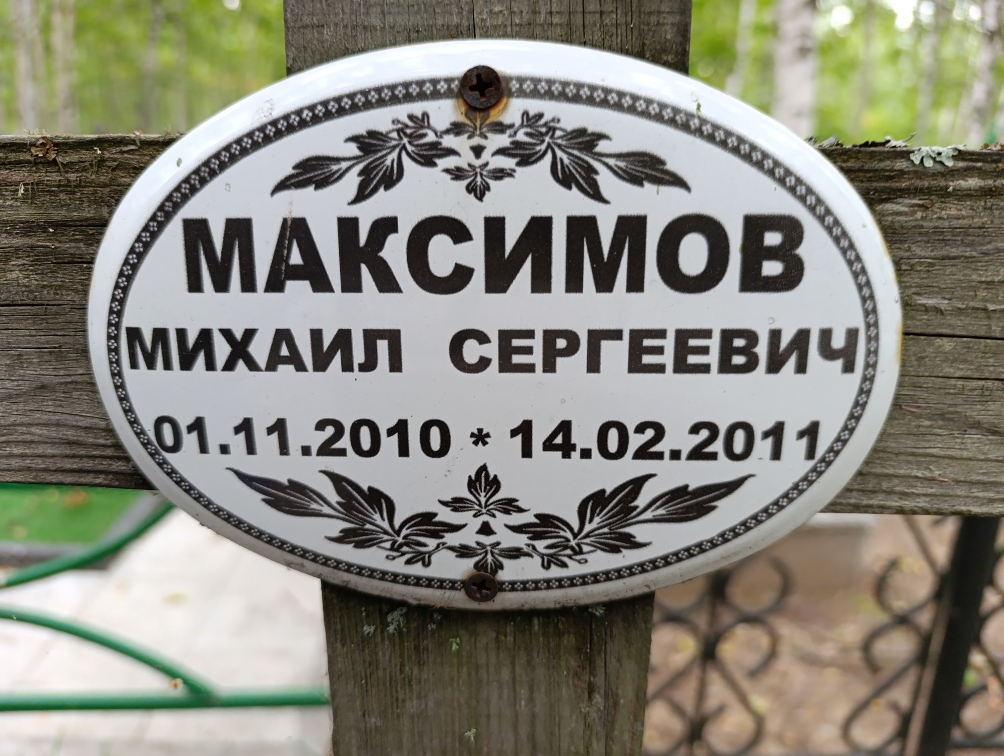 Максимов Михаил Сергеевич