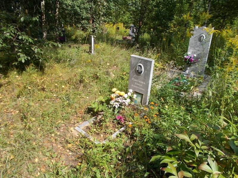 Цветкова Элиса Алексеевна