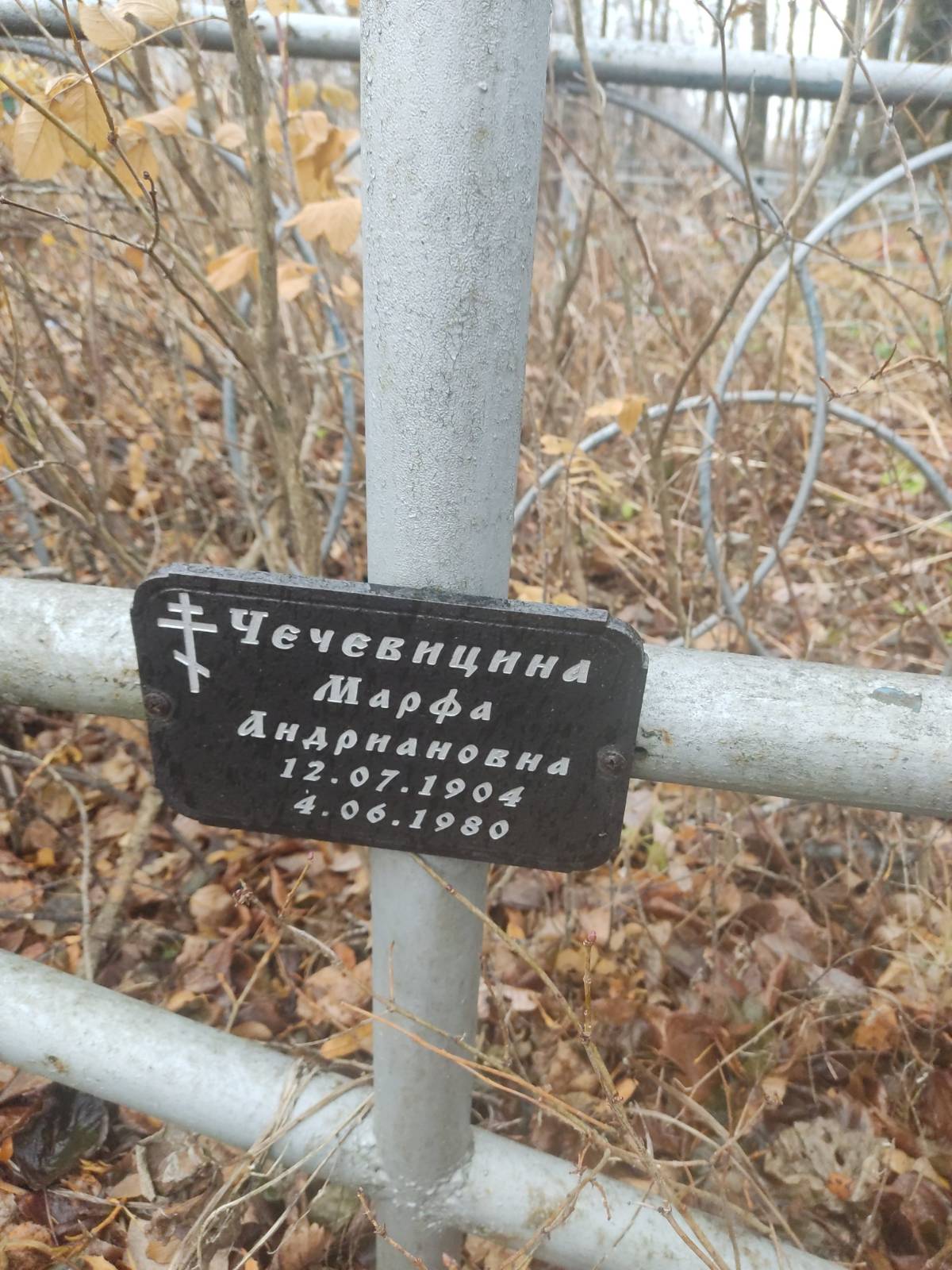Чечевицина Марфа Андриановна