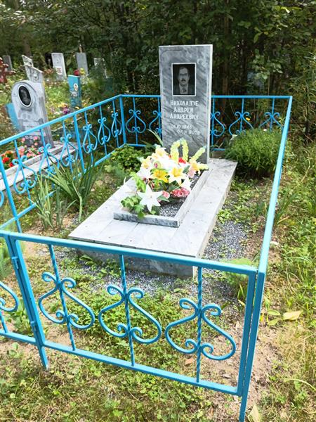 Николадзе Андрей Андреевич