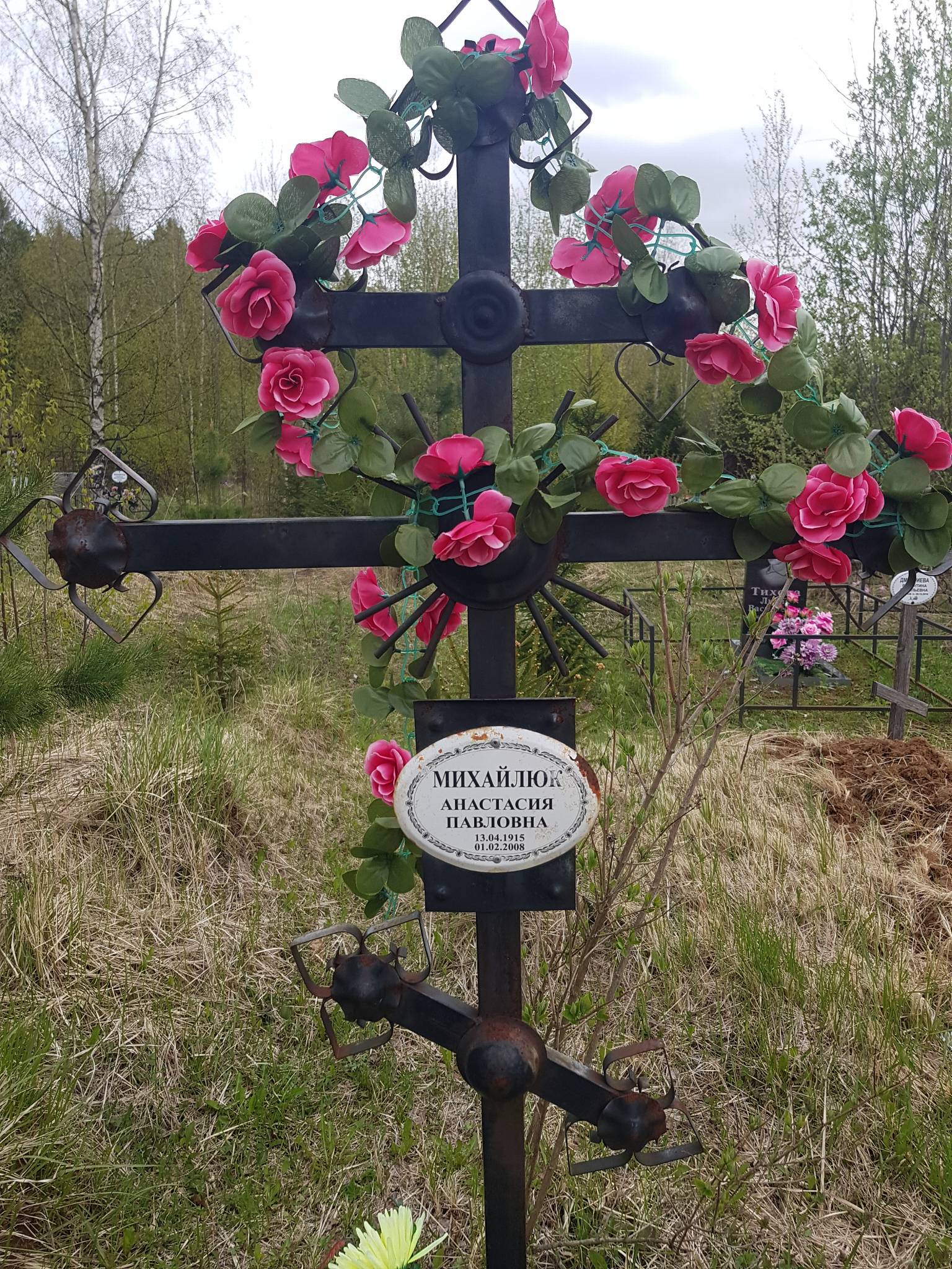 Михайлюк Анастасия Павловна