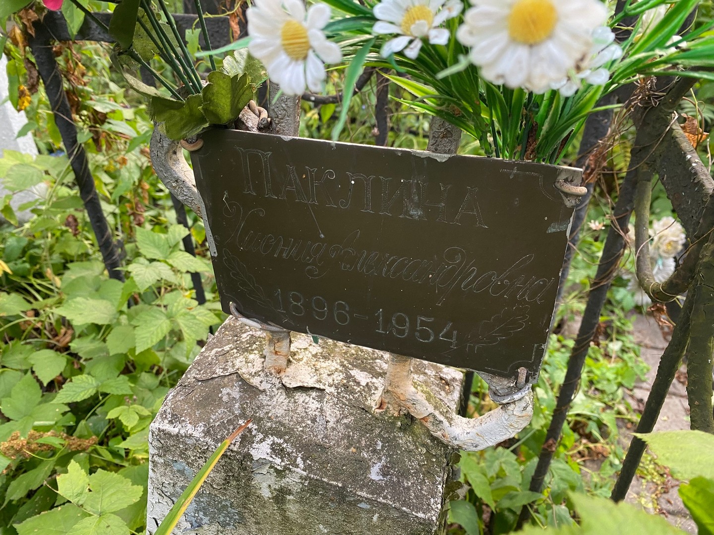 Хиония Паклина Александровна