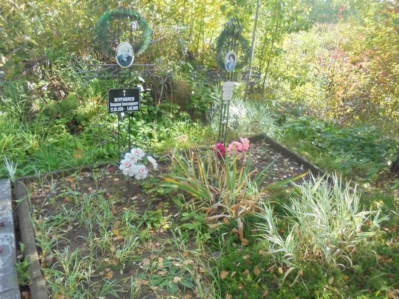 Журавлев Владимир Александрович