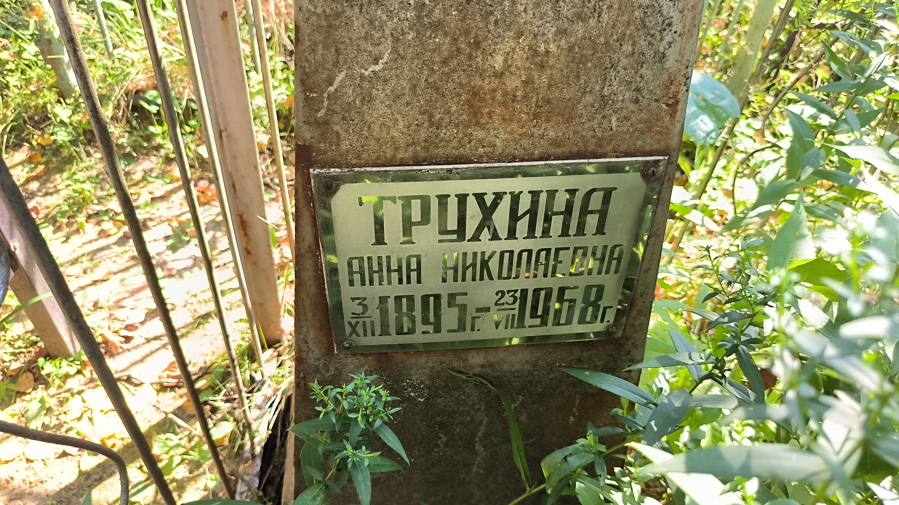 Трухина Анна Николаевна