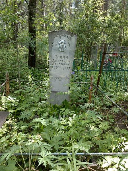 Силин Александр Авивович