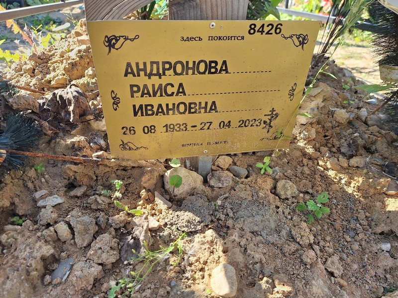 Андронова