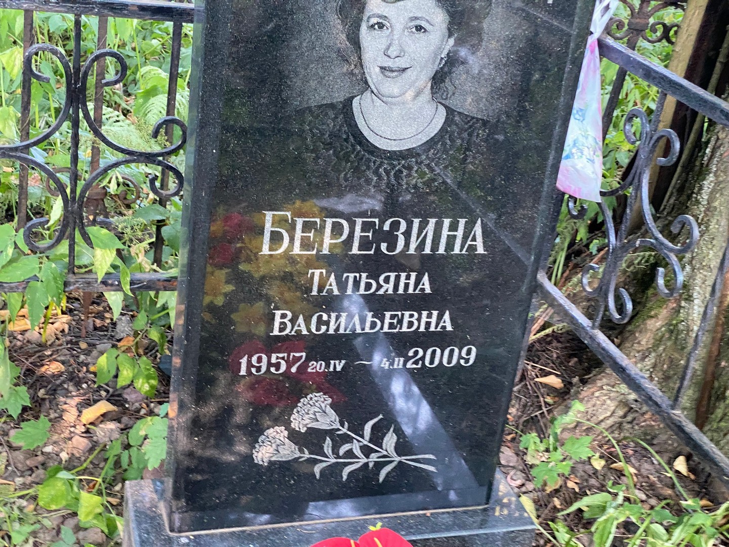 Березина