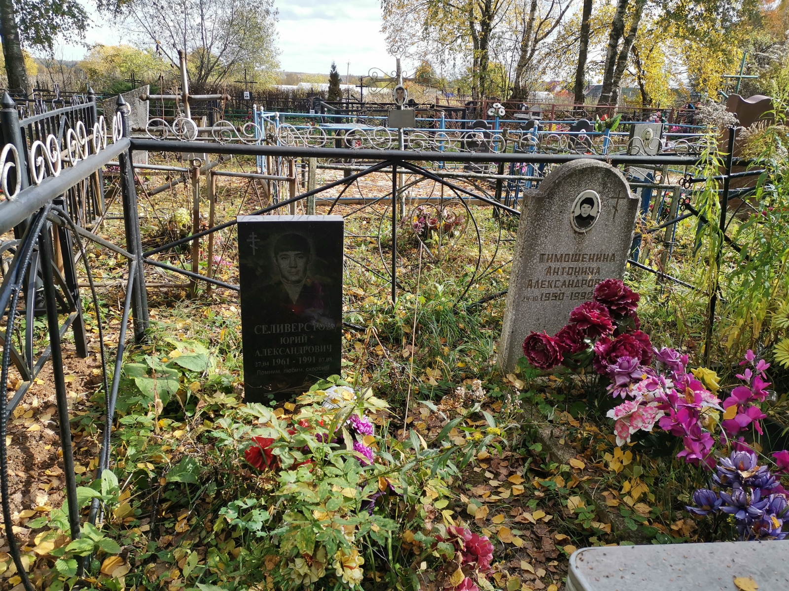 Тимошенина Антонина Александровна