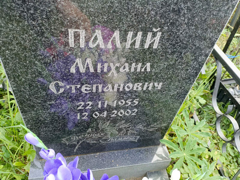 Палий