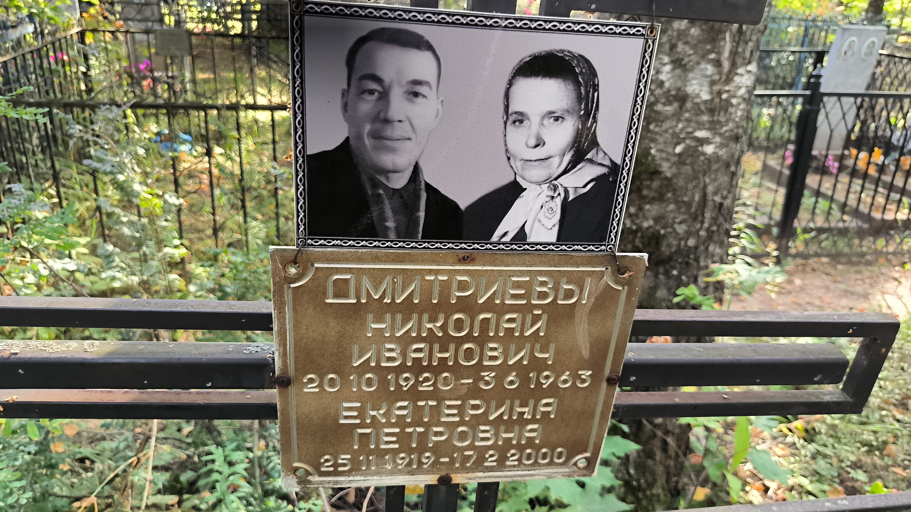 Дмитриев Николай Иванович