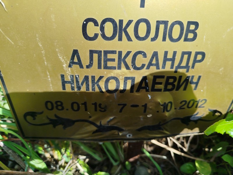 Соколов