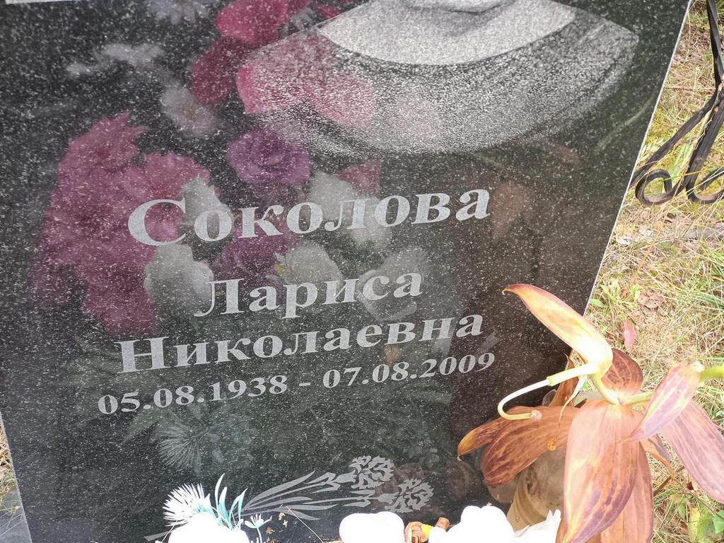 Соколова Лариса Николаевна