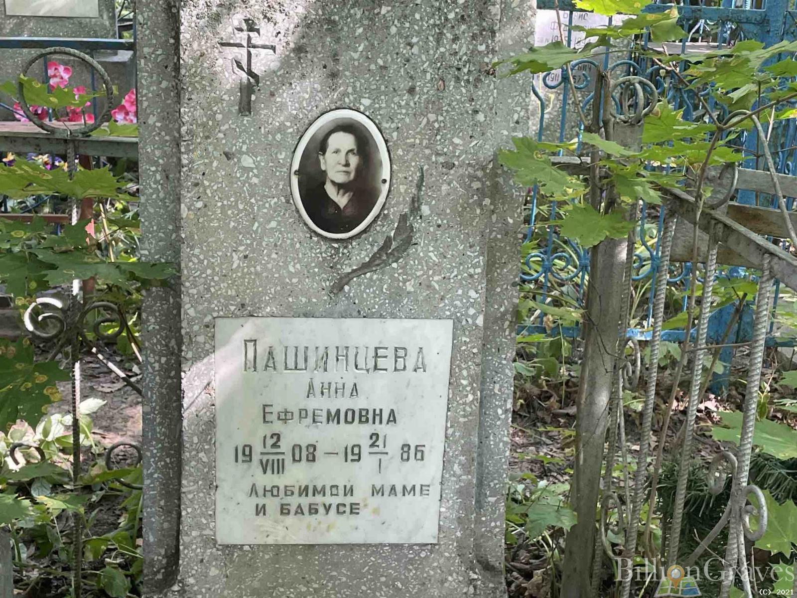 Пашинцева Анна Ефремовна