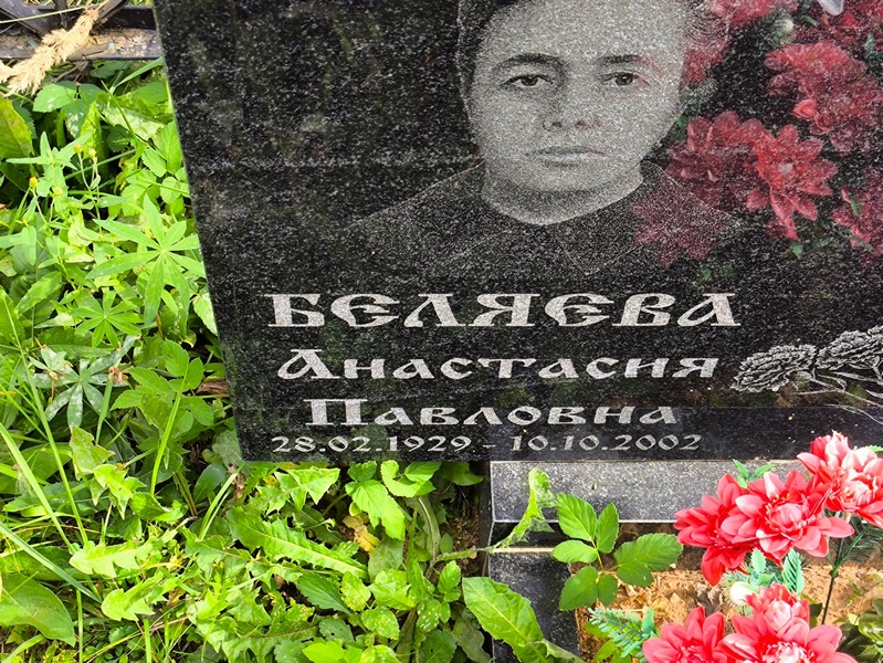 Беляева Анастасия Павловна