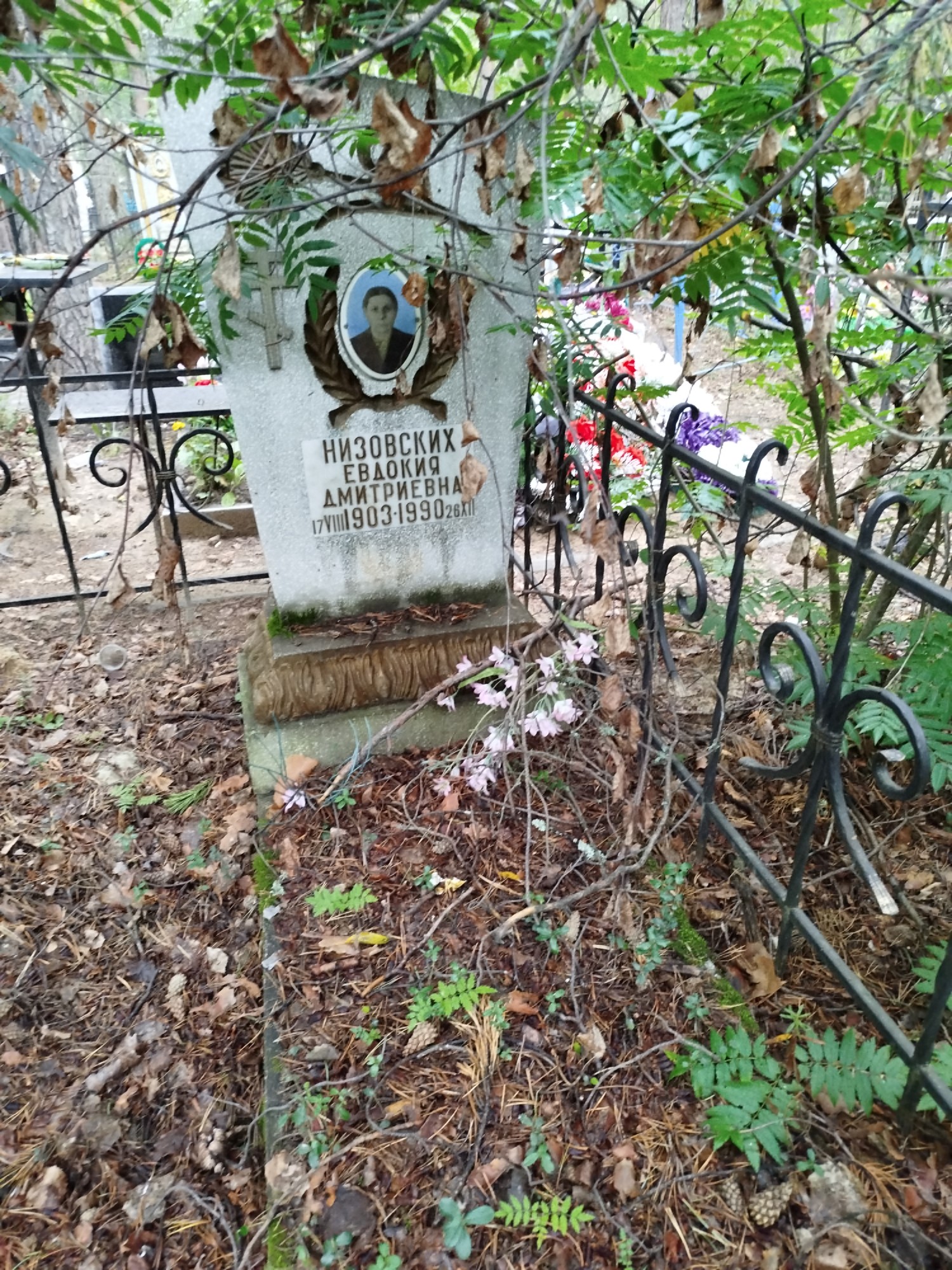 Низовских Евдокия Дмитриевна