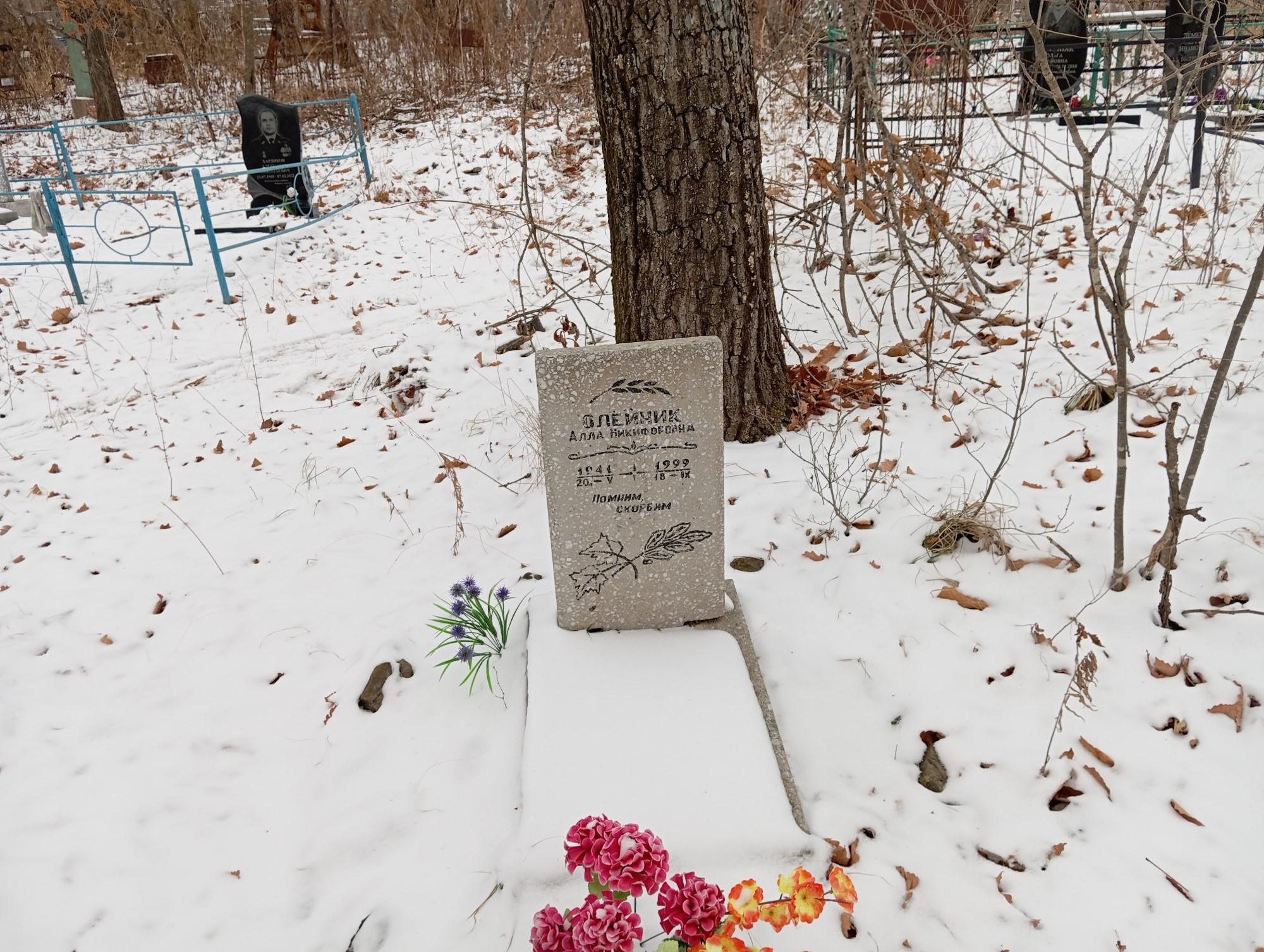 Олейник Алла Никифоровна