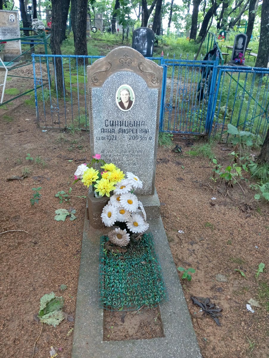 Синицына Анна Андреевна