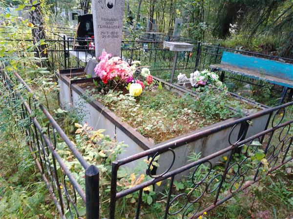 Паньшин Олег Геннадьевич