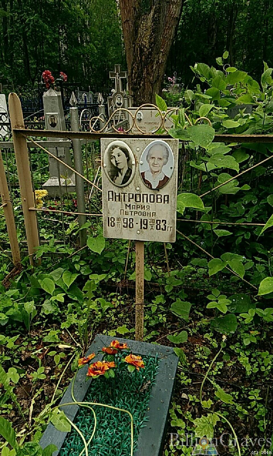 антропова мария петровна