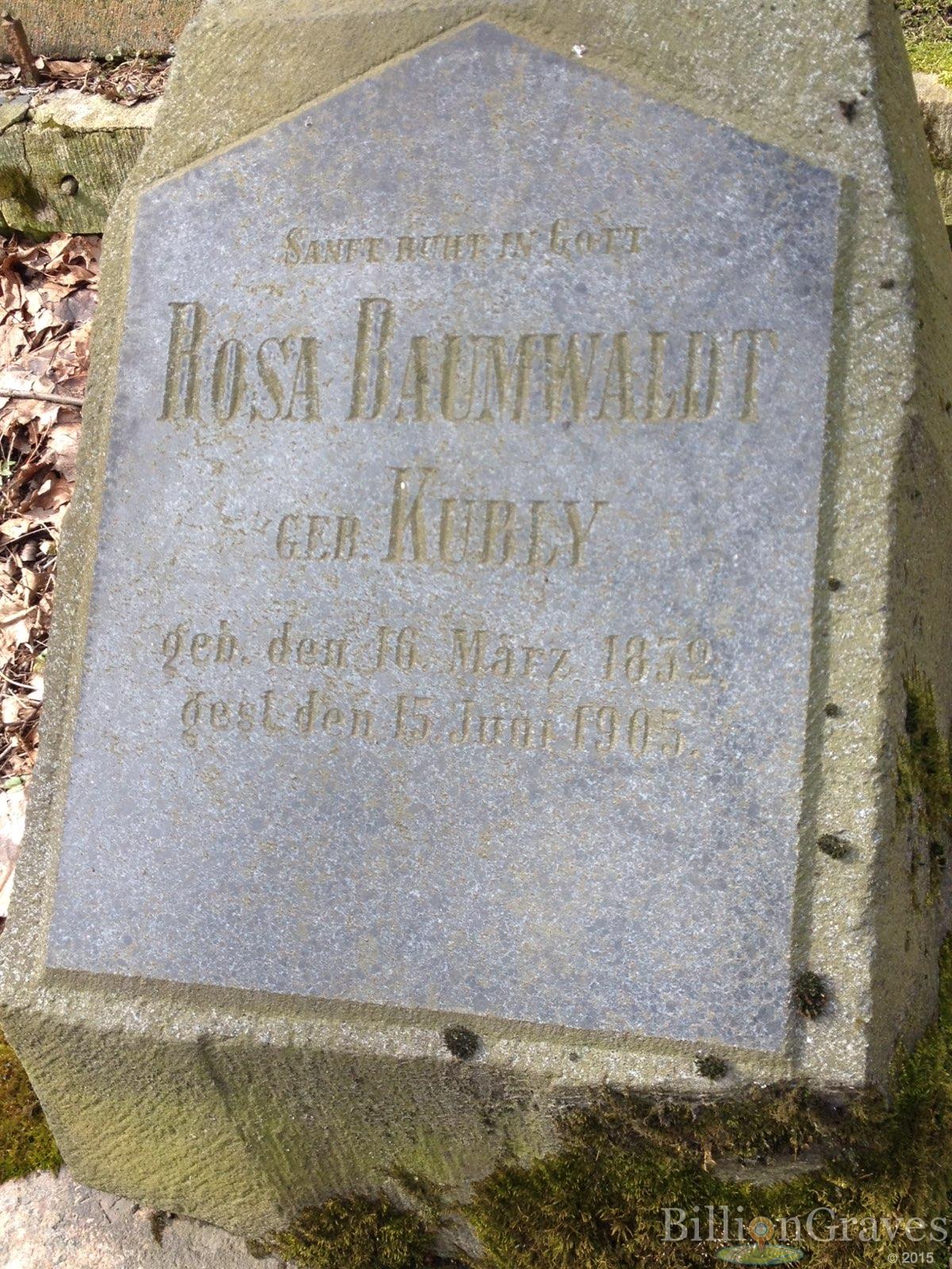 Baumwaldt Rosa