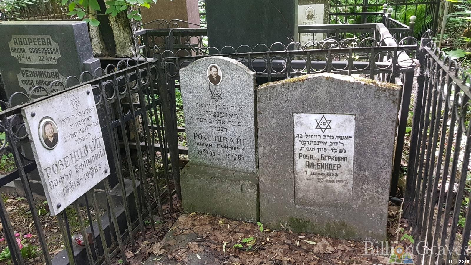 Айнбиндер איינבינדער Роза Берковна