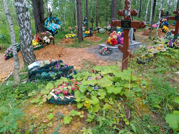 Дмитриева Елена Васильевна
