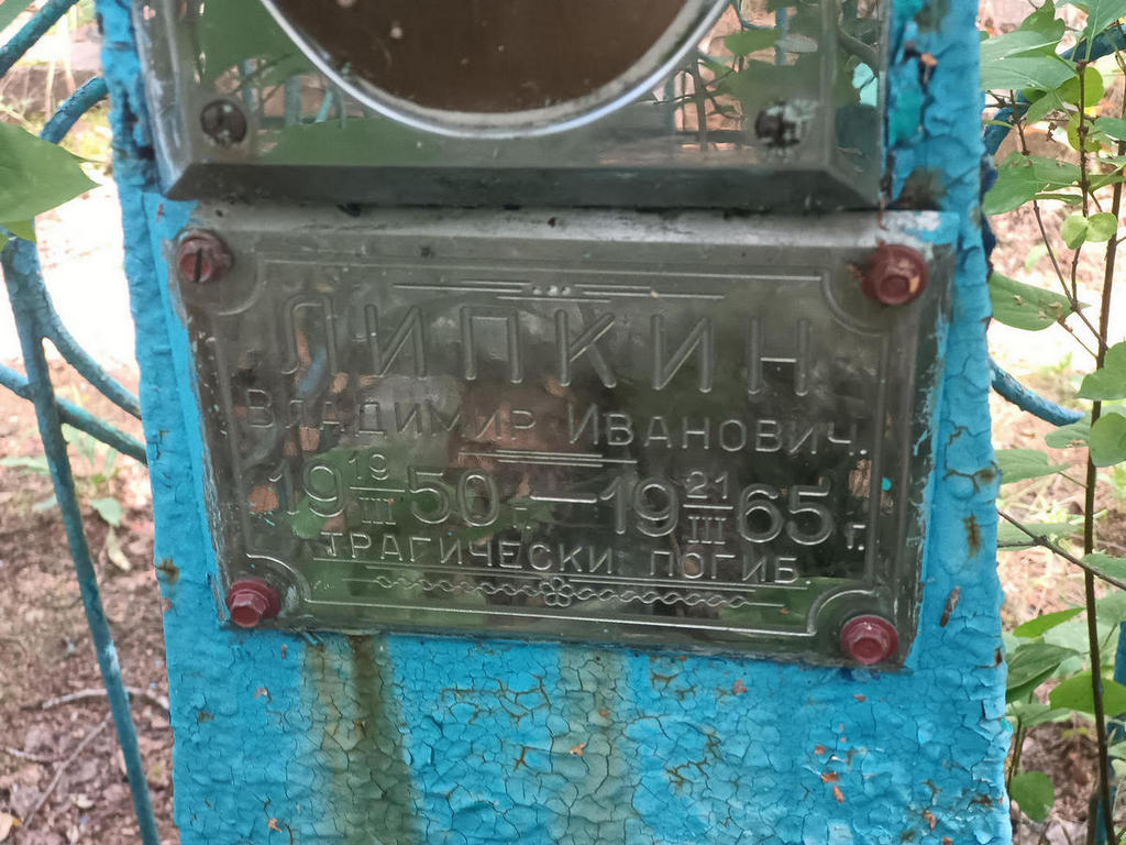 Липкин Владимир Иванович