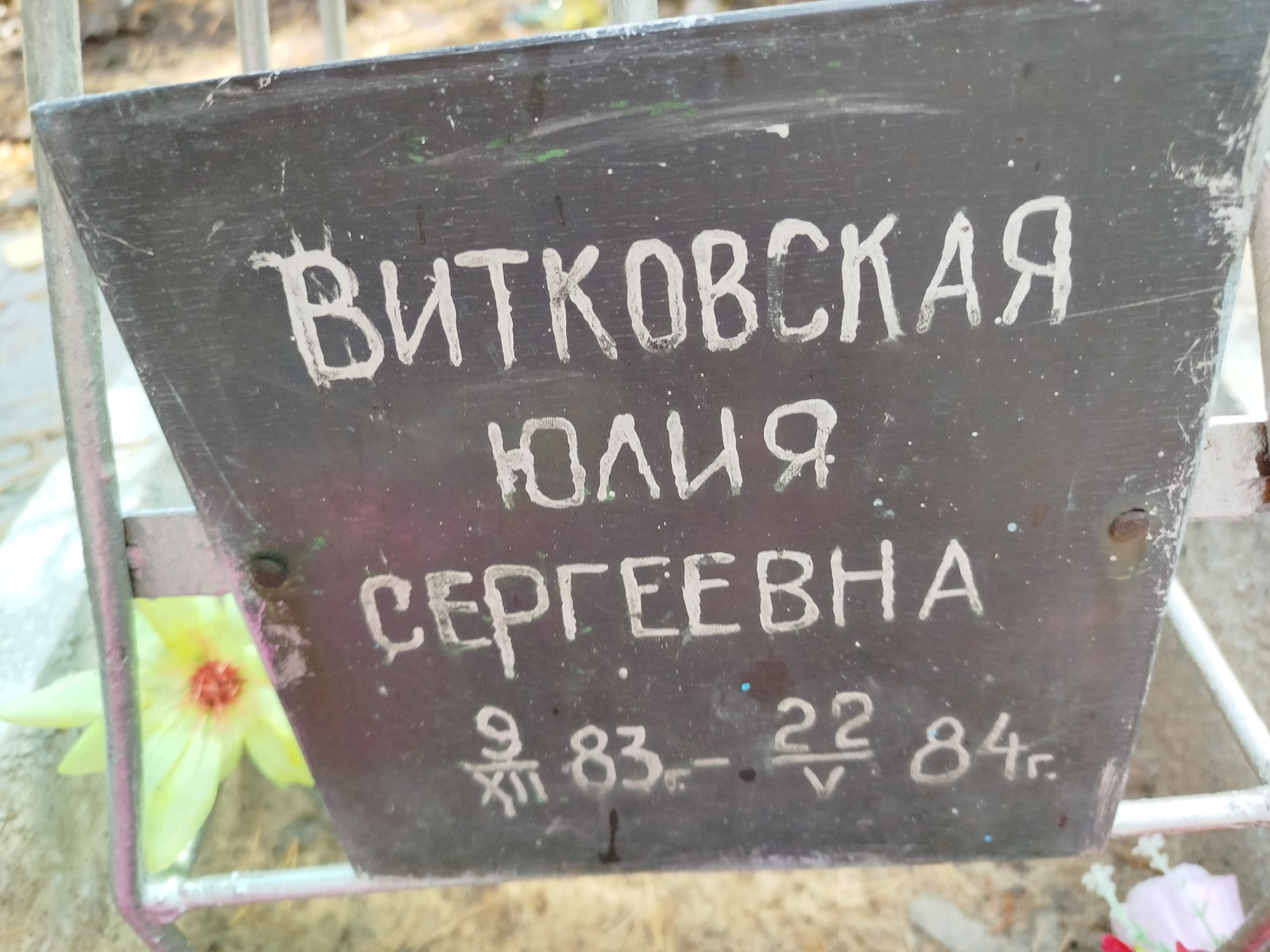 Витковская Юлия Сергеевна