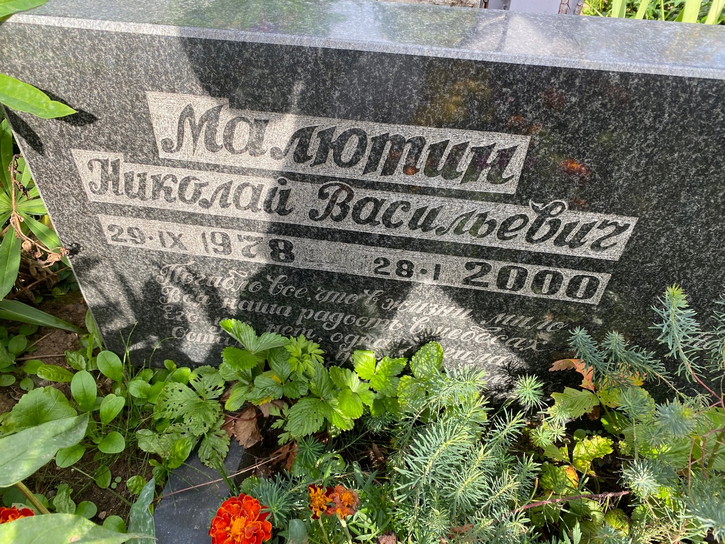 Малотин