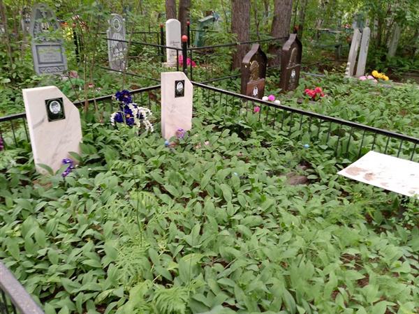 Грязнов Николай Павлович