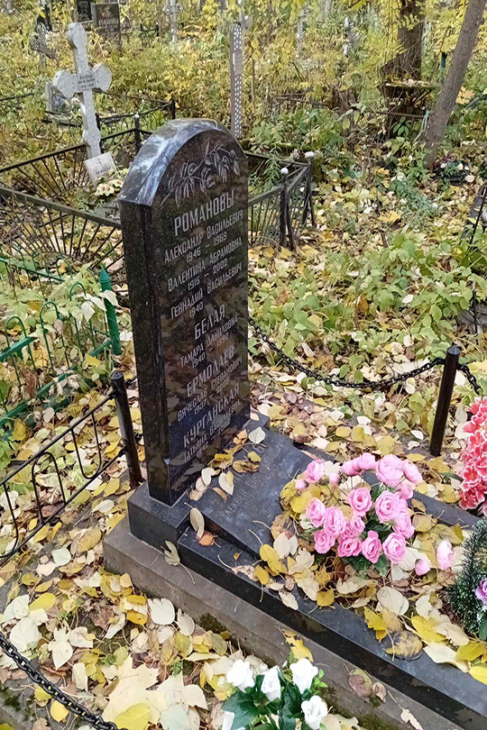 Романов Александр Васильевич