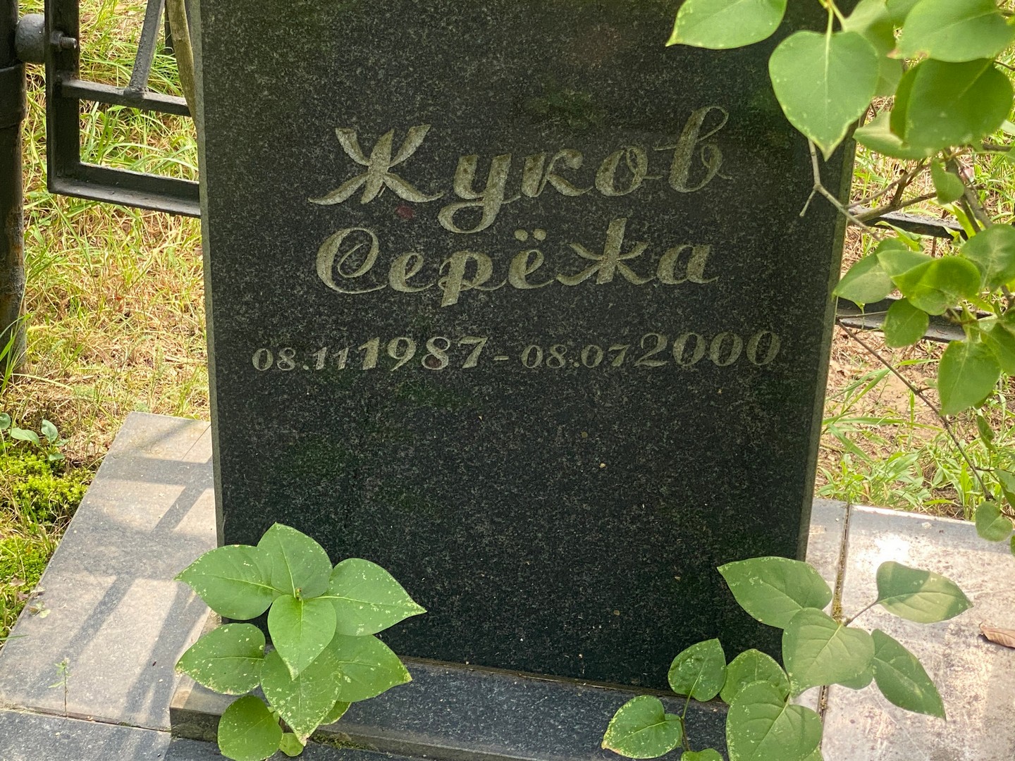 Жуков Жуков
