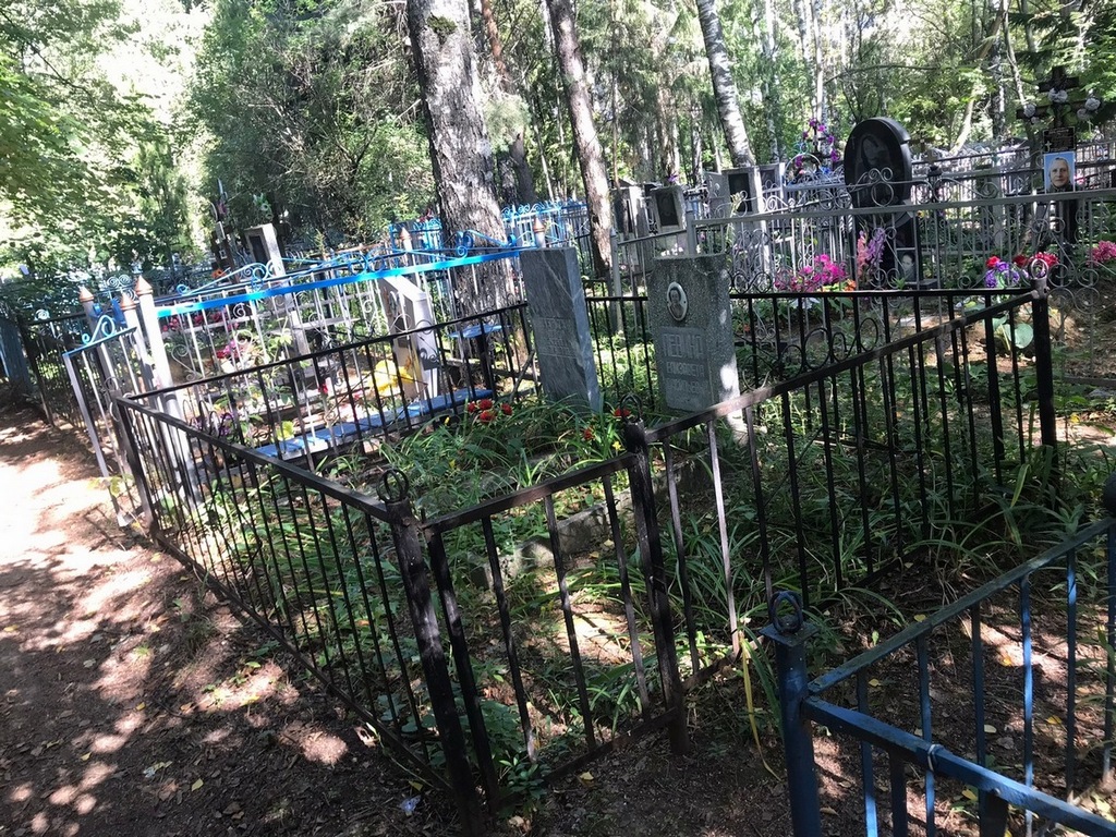 Левина Елизавета Васильевна