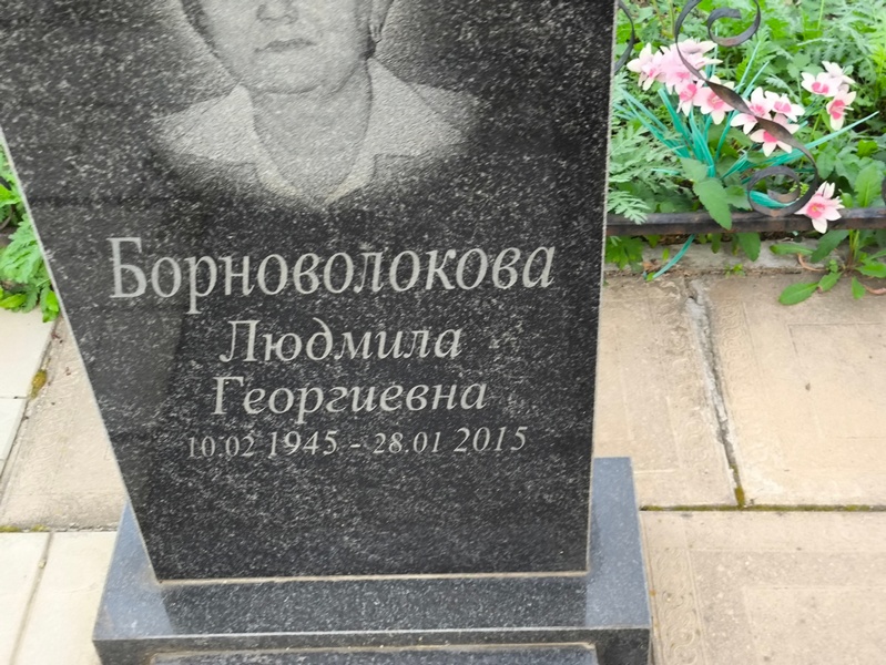 Борноволокова