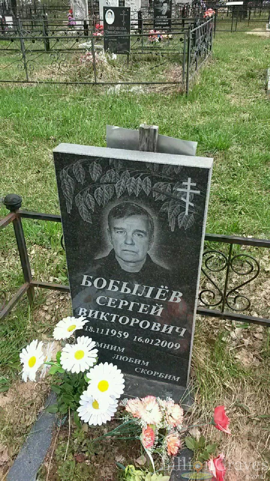 бобылев сергей викторович