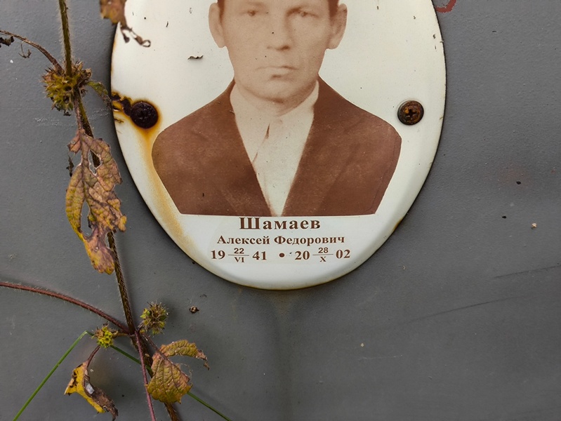 Шамаев