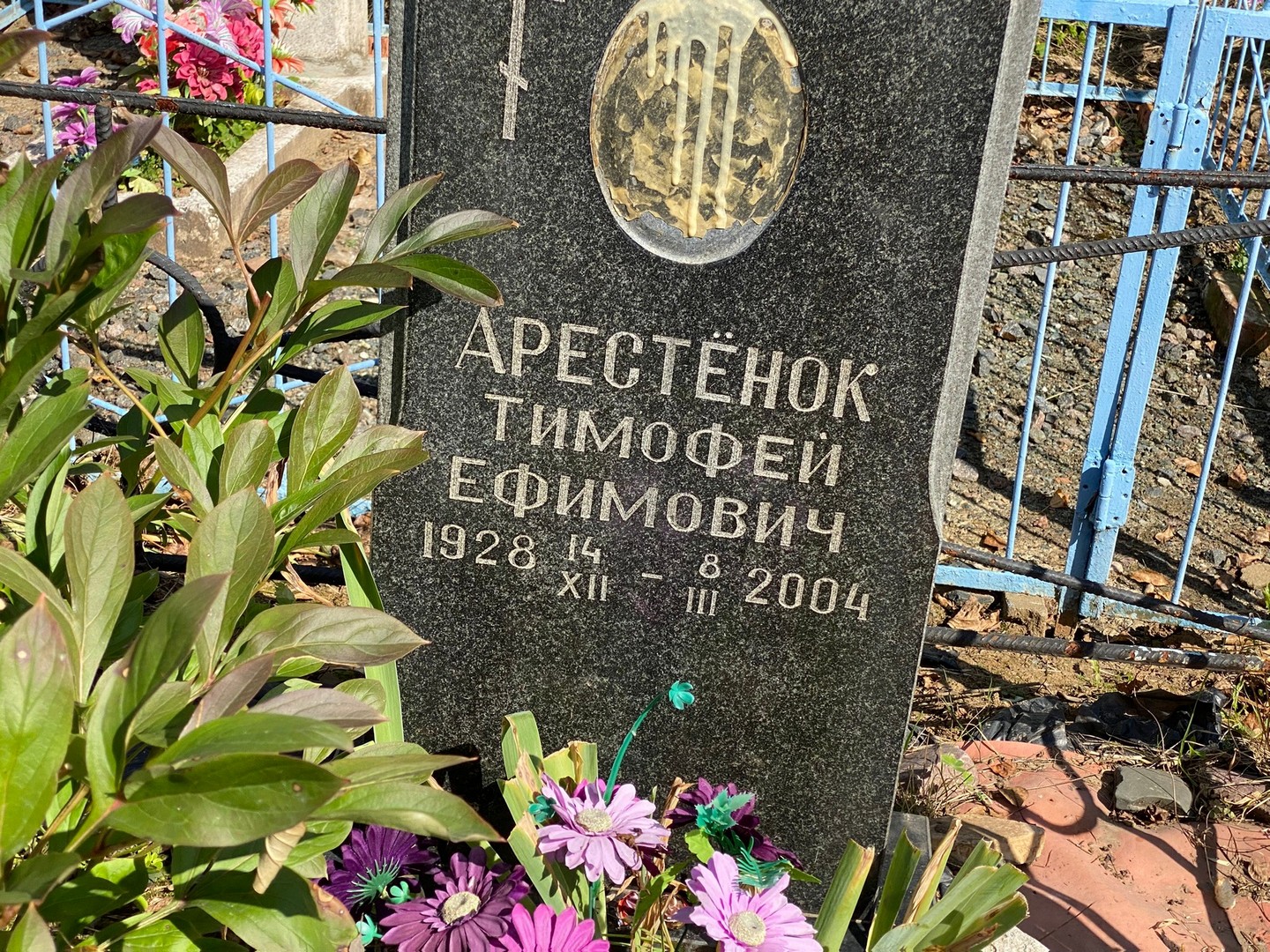 Тимофей Арестенок Ефимович