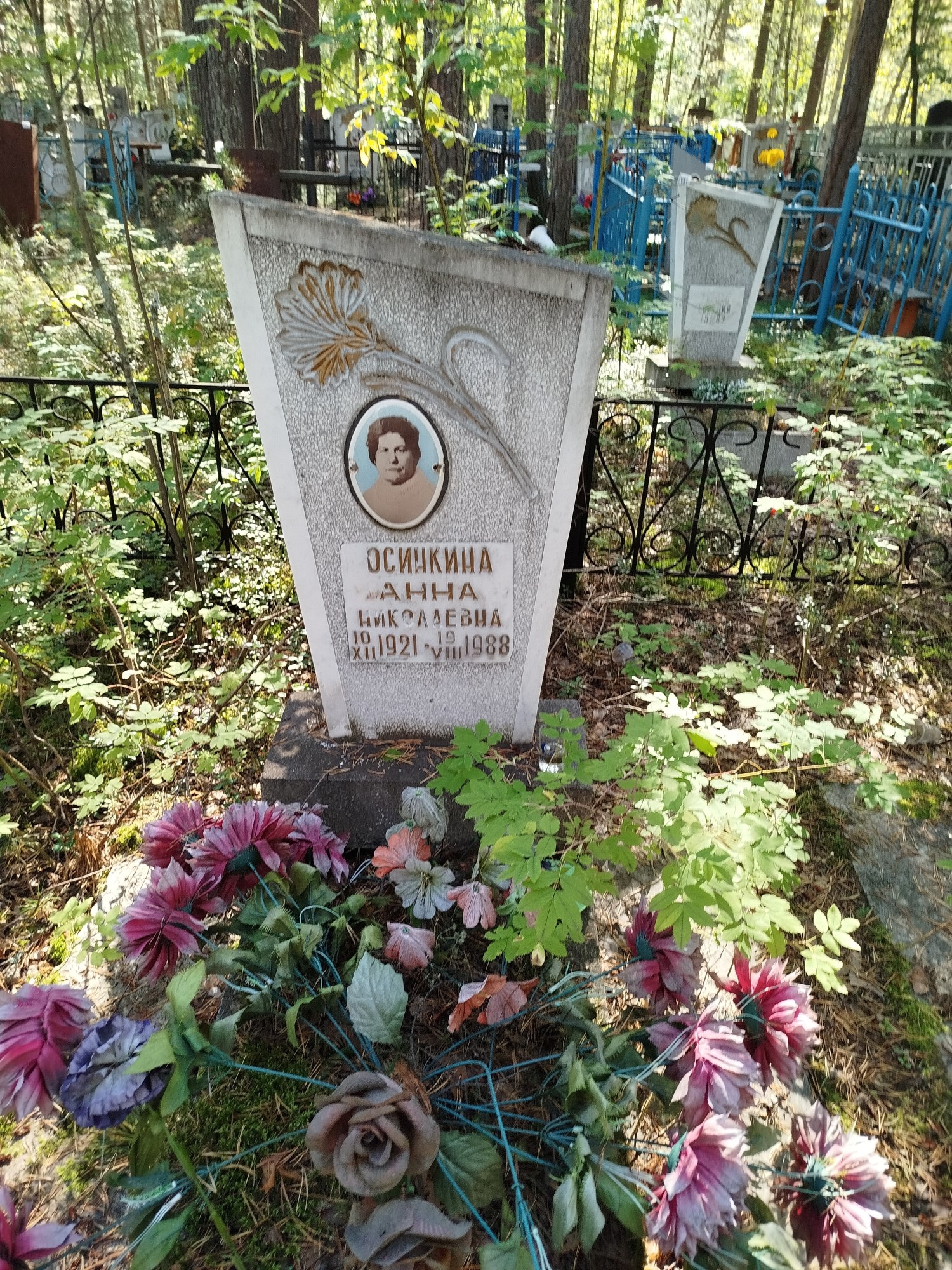 Осинкина Анна Николаевна