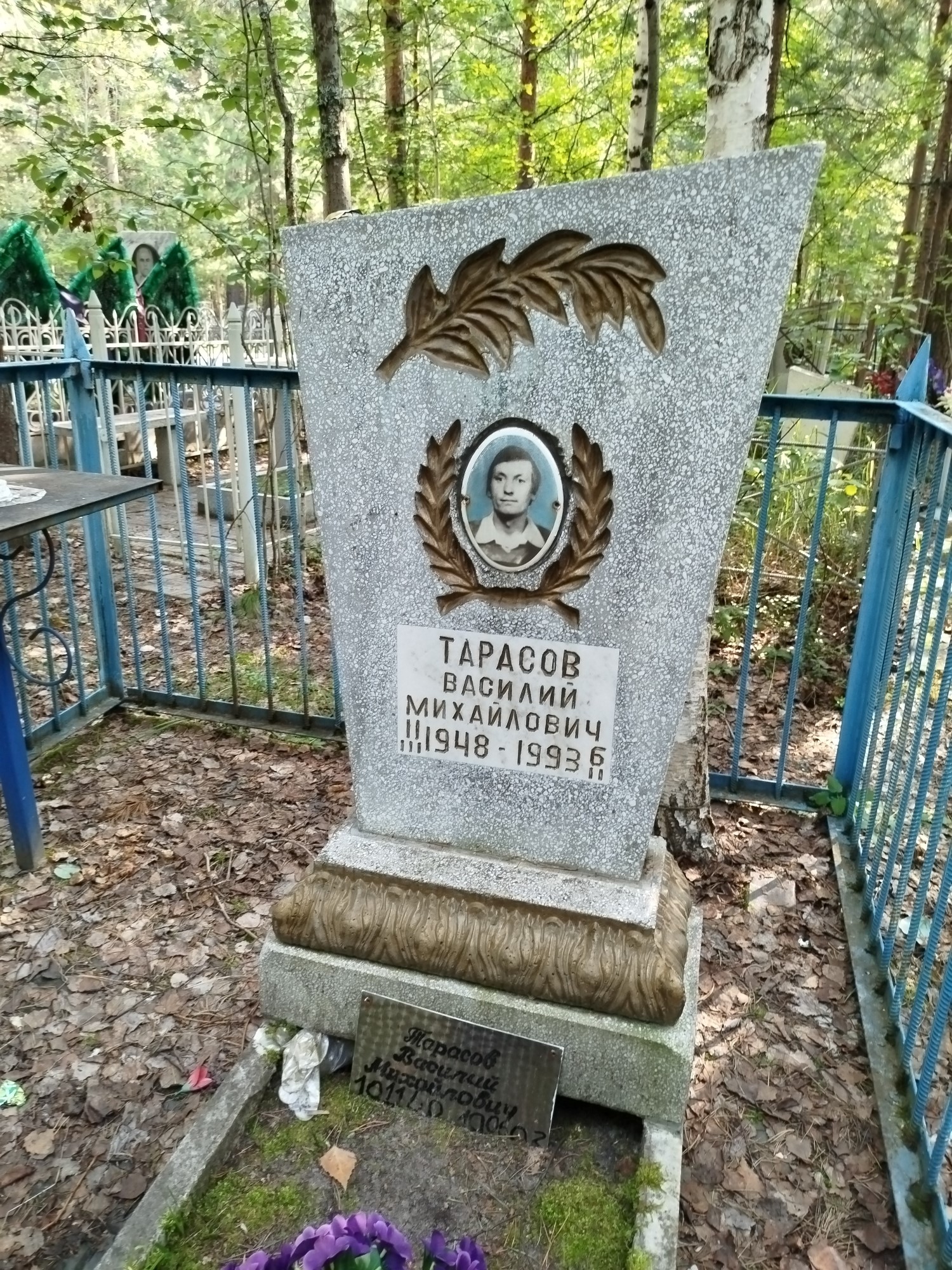 Тарасов Василий Михайлович