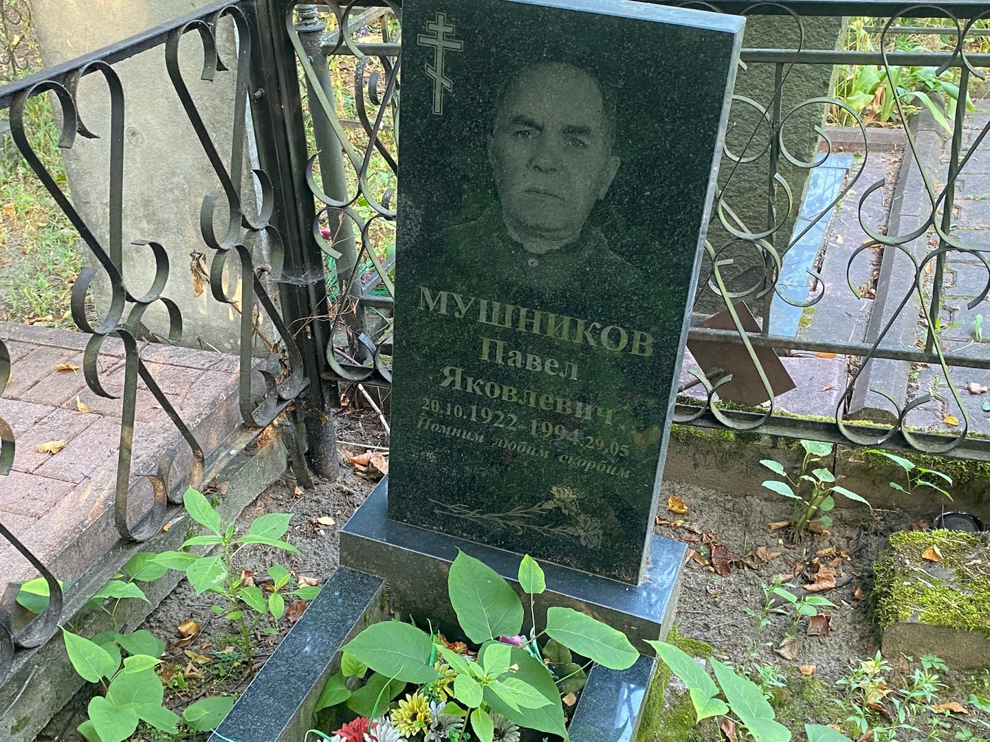 Мушников