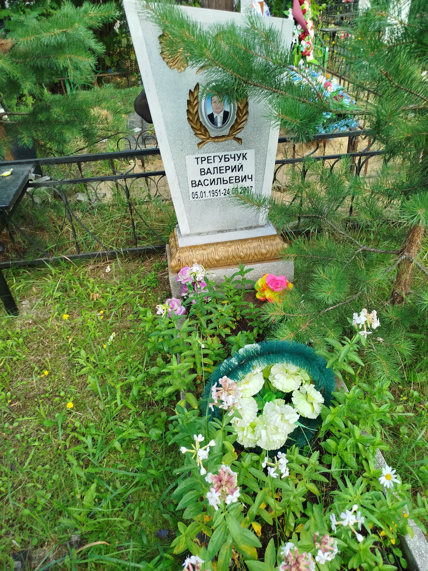 Трегубчук Валерий Васильевич