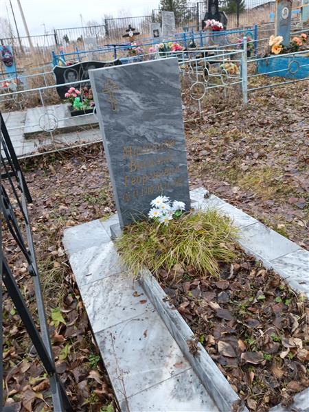 Михайлов Василий Георгиевич