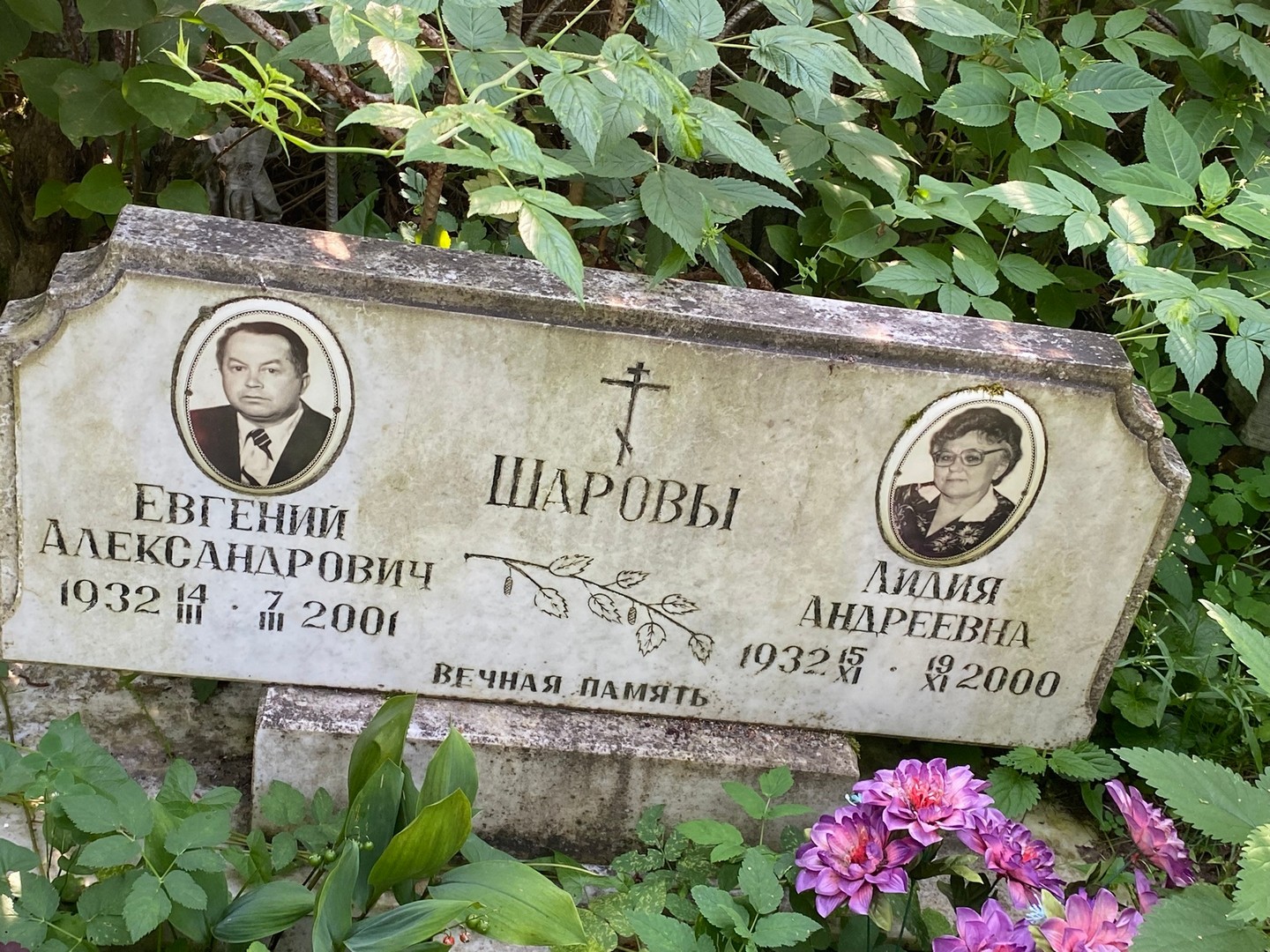 Шаров