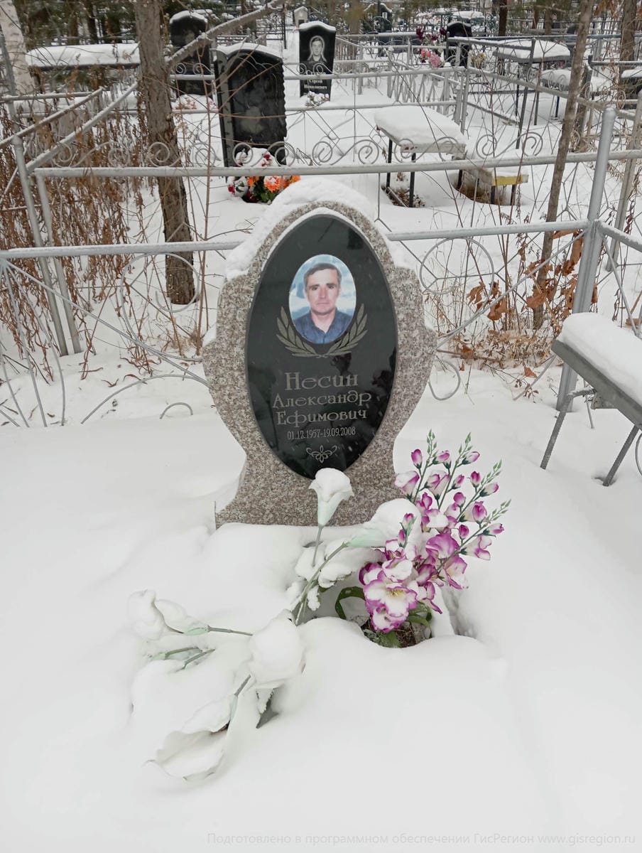 Несин Александр Ефимович