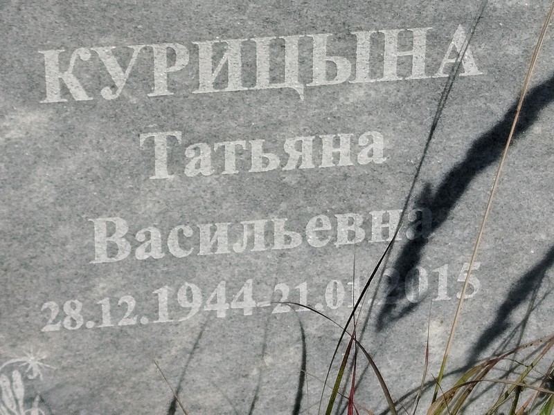 Курицына