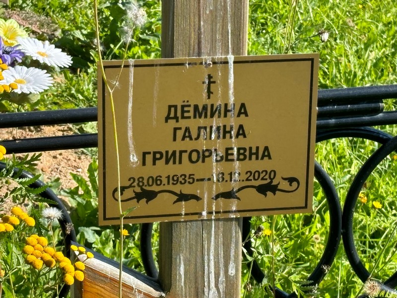 Демина